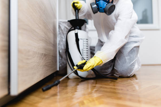 Best Best Pest Control Companies  in Hockessin, DE